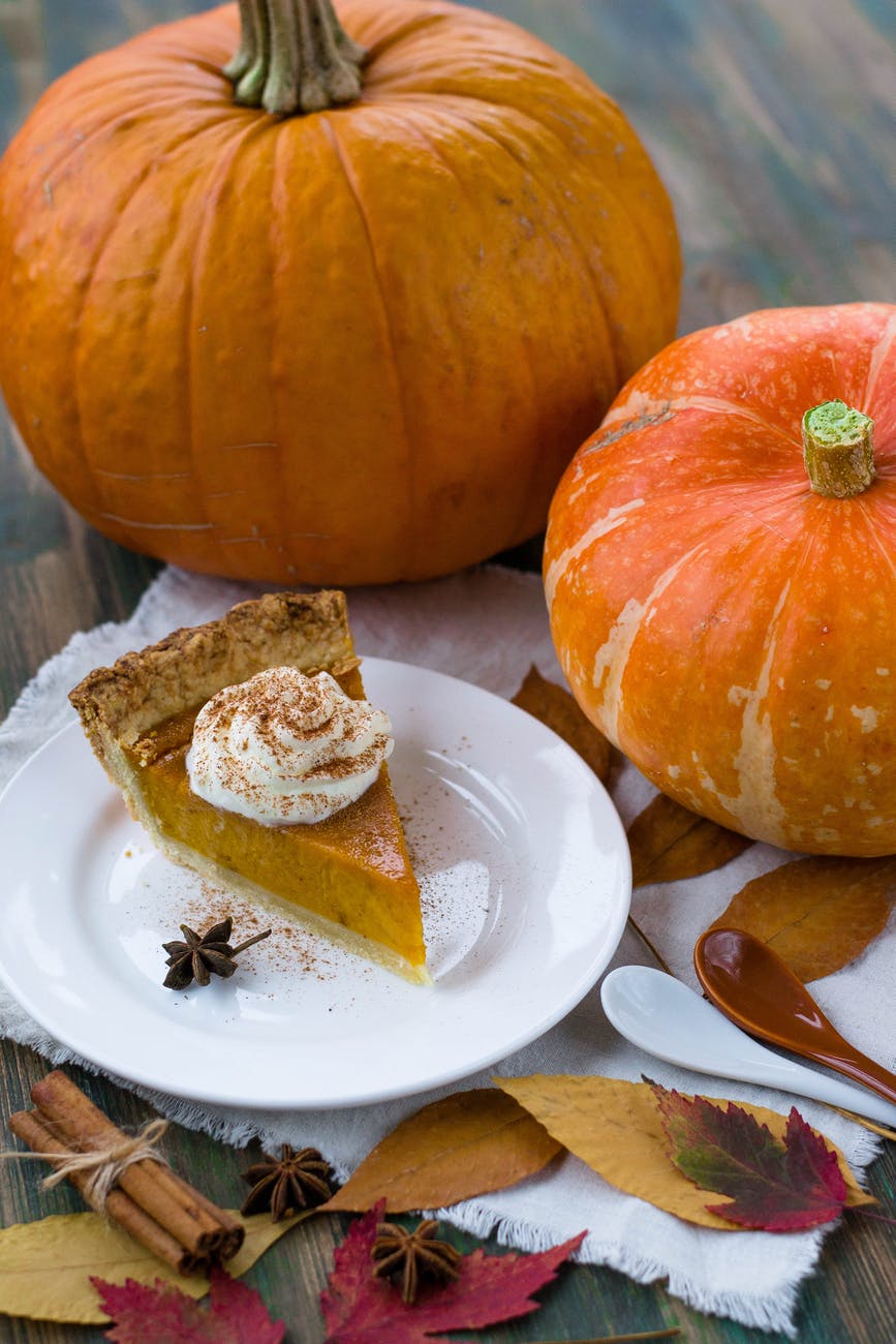 photo of pumpkins