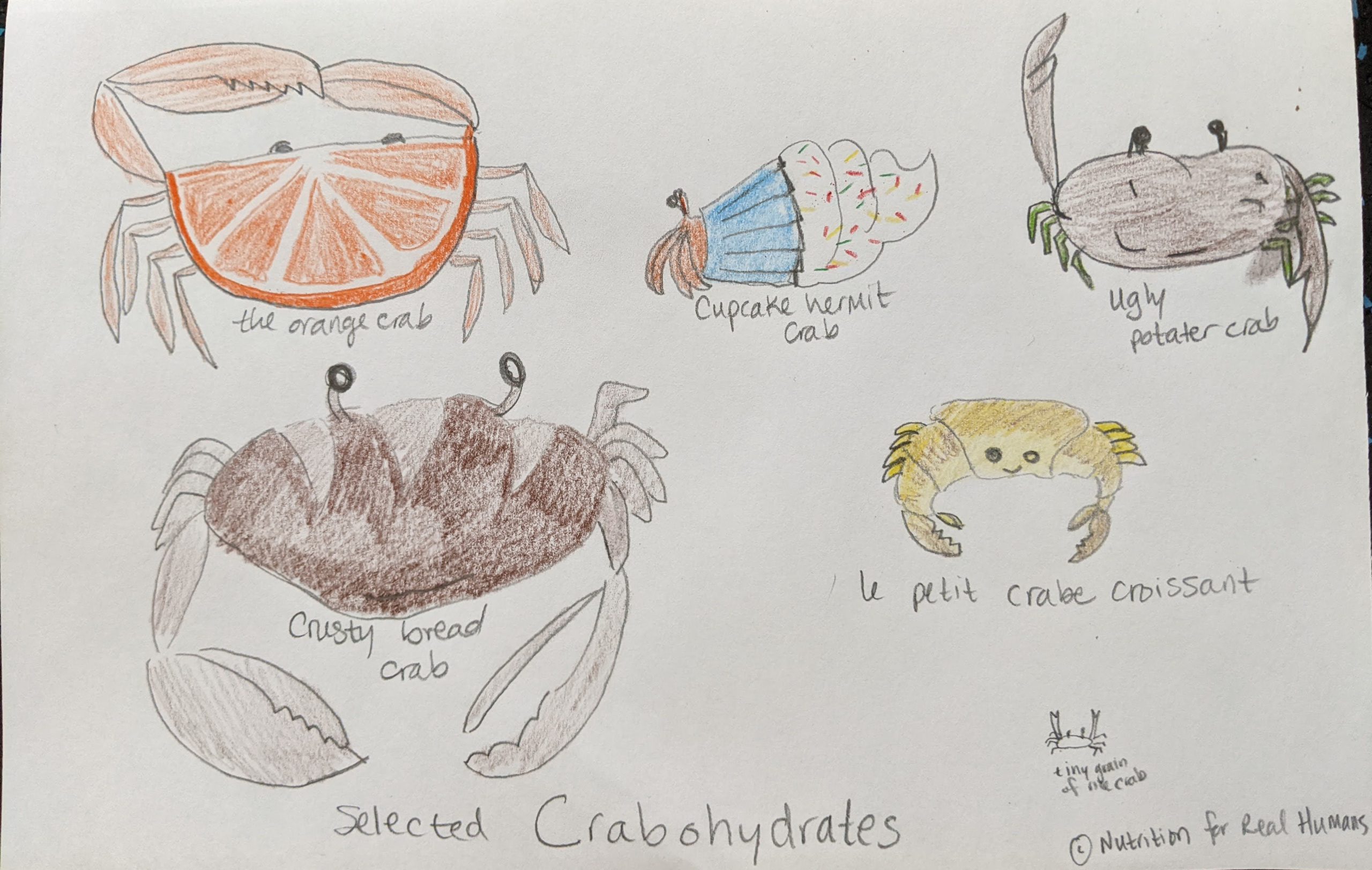 various carbohydrates but drawn as if they were crabs. (orange crab, crusty bread crab, cupcake hermit crab, ugly potater crab, le petit crabe croissant, tiny grain of rice crab)